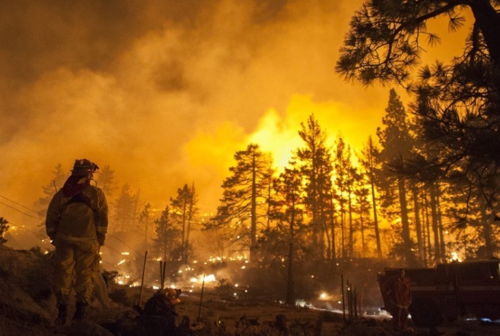 CENIBRA prevenção é a melhor arma contra o fogo