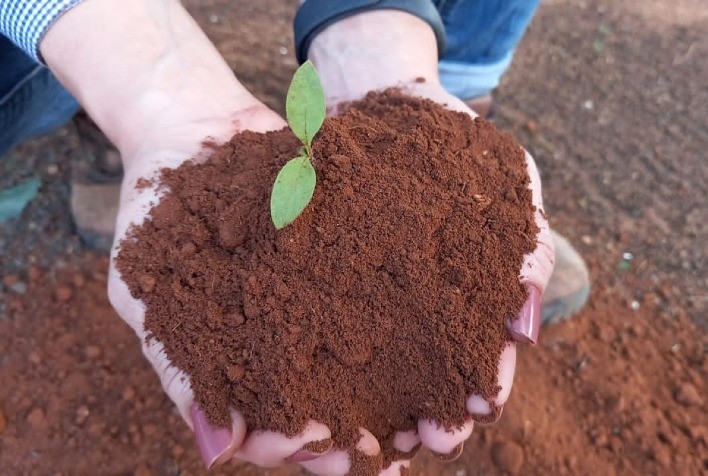 Projeto inédito para análise da biologia do solo tem início no Brasil