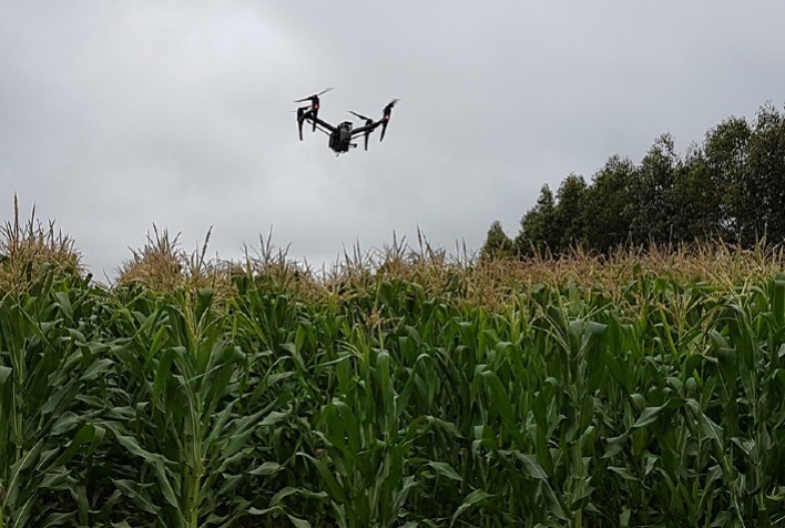 Sistema faz contagem automática de plantas na lavoura por imagens de drones