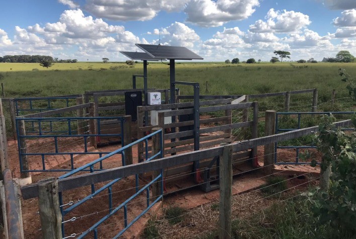 COIMMA e APTA Regional de Colina firmam parceria para ampliar estudos sobre o sistema de cria na pecuária de corte