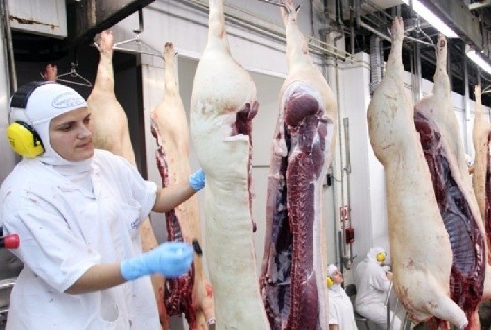 Em 15 dias úteis, exportação de carne suína supera em mais de 20% receita e volume de todo abril/20