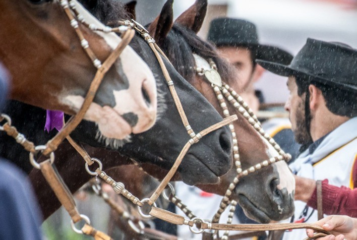 Pista do Cavalo Crioulo ganha recuperação completa e modificações na estrutura