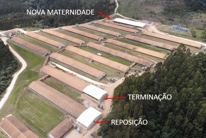Castrolanda inaugura nova maternidade de suínos