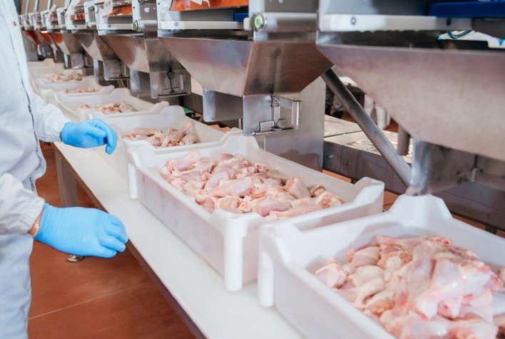 Frango abatido: mix comercializado no 1º trimestre ficou muito aquém dos custos