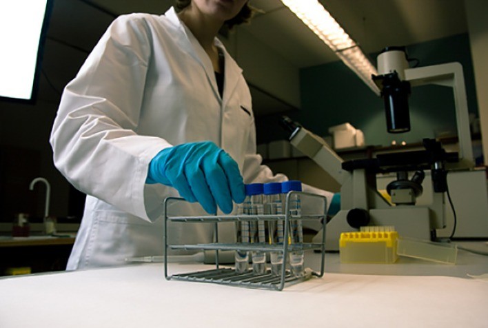 Aviagen explora os desafios para o controle de Salmonella na cadeia de produção de incubatório