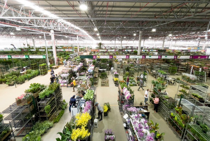Com crescimento de 10% nas vendas de flores, plantas e acessórios, Ceaflor está otimista neste Dia das Mães