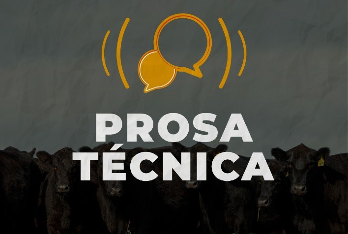 Angus lança projeto Prosa Técnica