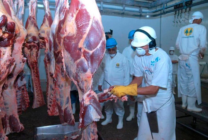 Cai o abate de bovinos e cresce o de suínos e de frangos no 1º trimestre de 2021