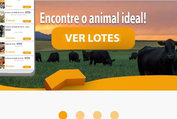 Startup do interior do Paraná desenvolve o “Mercado Livre de bois” e ganha prêmio nacional