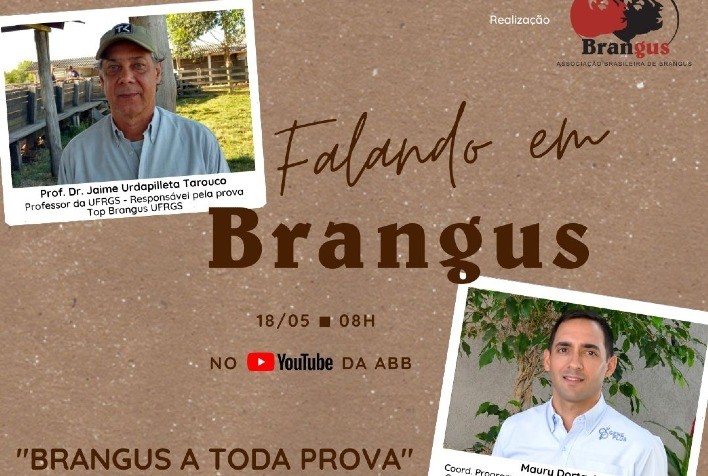 Brangus a toda prova será o tema da terceira edição do Falando em Brangus