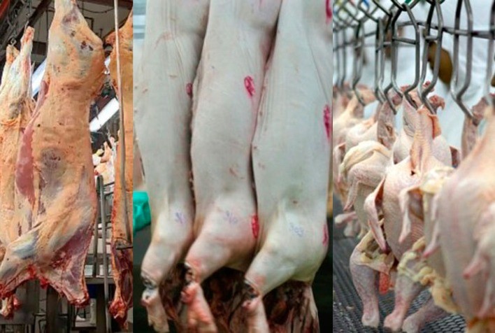 Desempenho exportador das carnes na primeira quinzena de maio de 2021