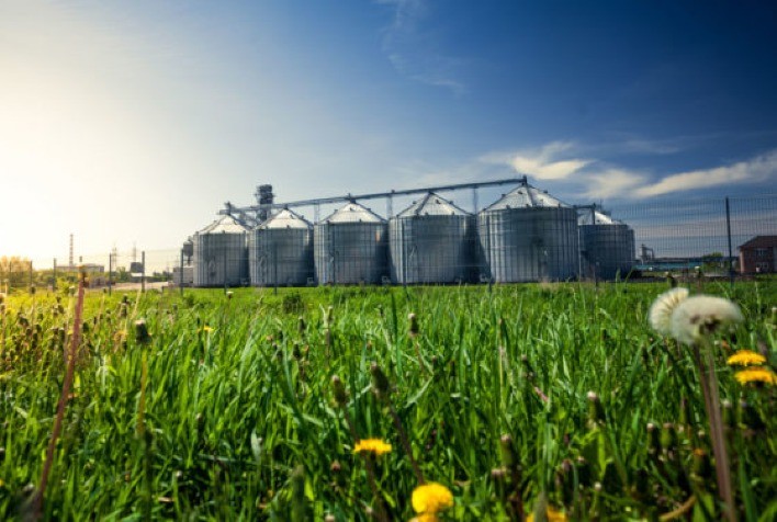 Rabobank Brasil mobiliza R$720 milhões em empréstimos sindicalizados para cooperativas do agronegócio