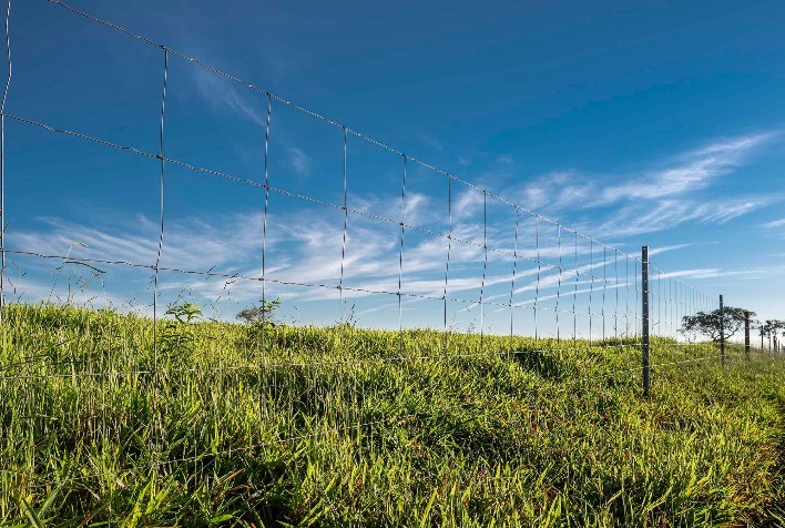 Cercas prontas oferecem mais proteção aos bovinos e melhor custo-benefício e atraem pecuaristas que investem na integração lavoura-pecuária