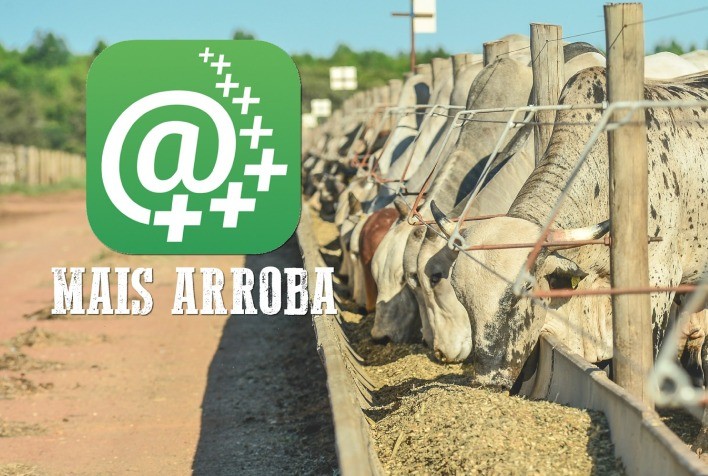 DSM e Cepea/USP atualizam e trazem novas funcionalidades para o app Mais Arroba