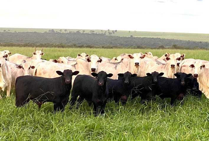 Novo status sanitário do Rio Grande do Sul trará grandes desafios