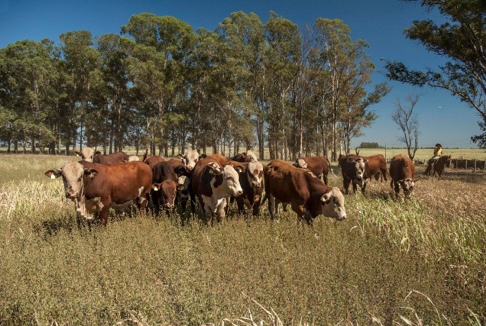 Certificação internacional vai permitir a abertura de novos mercados para o agro gaúcho