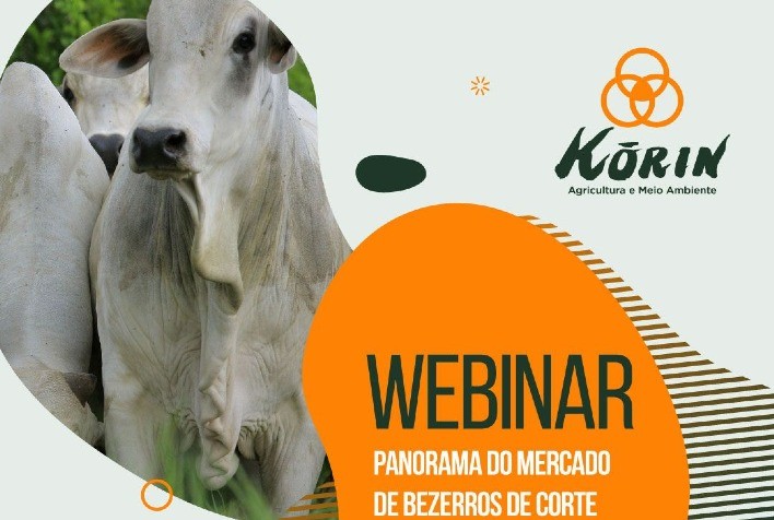 Mercado de bezerros de corte e dicas para maximizar produção são temas de webinar da Korin Agricultura e Meio Ambiente