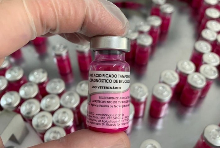 IB disponibiliza ao setor agro frascos de produto para diagnosticar brucelose com menos doses