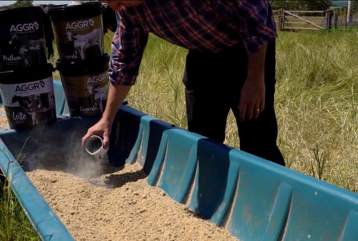 Suplementação animal garante produtividade da criação bovina e melhoria da saúde