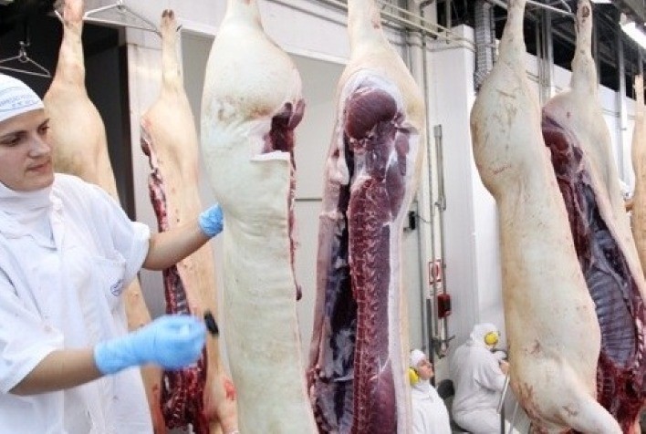 Conab mostra que exportação de carne suína segue em alta e excedente deve ir ao mercado externo