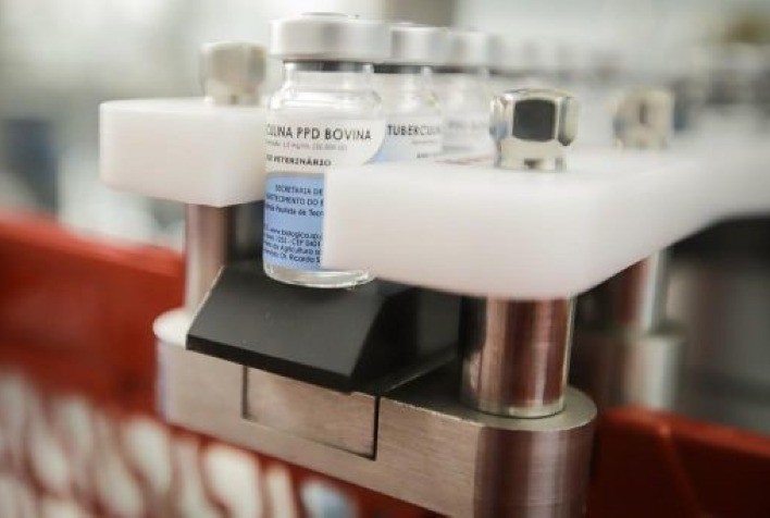 As 500 mil doses de tuberculina passam a ser distribuídas para todo o Brasil nesta segunda-feira