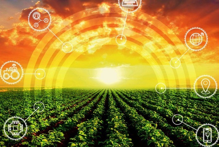 Produtores e cooperativas intensificam busca por tecnologia