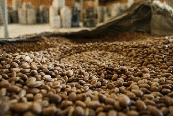 Conab prevê queda no preço do feijão com a menor procura dos consumidores e entrada da safra