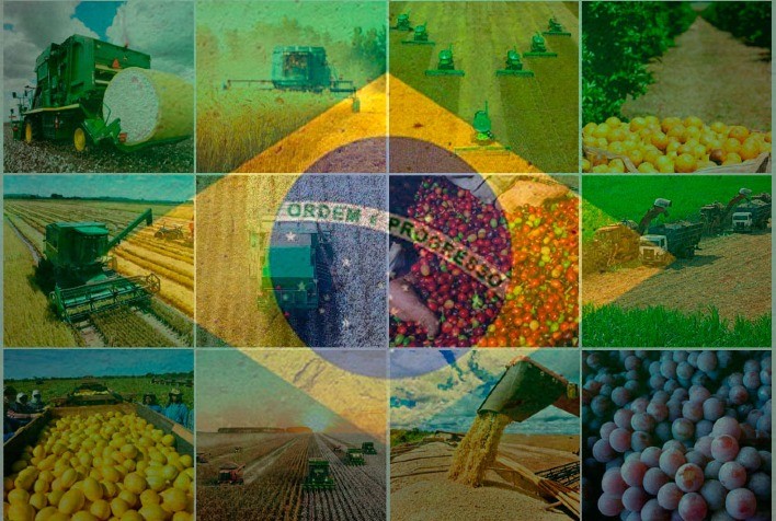 Estudo ressalta papel do Brasil como um dos maiores produtores agrícolas do mundo