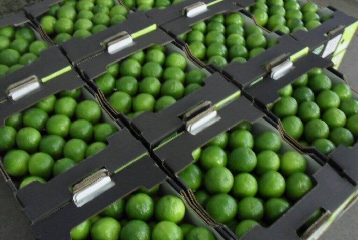 Austrália mantém planos de importar limão do México