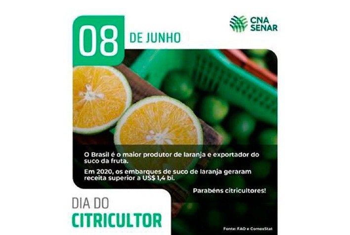 Dia do Citricultor: produtores de frutas cítricas garantem alimento saudável no Brasil e no Mundo