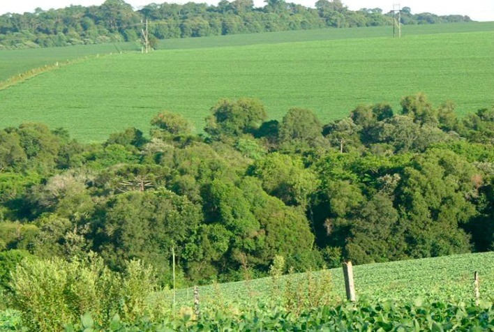 Com novos contratos, CONSERV soma 8.410 hectares protegidos