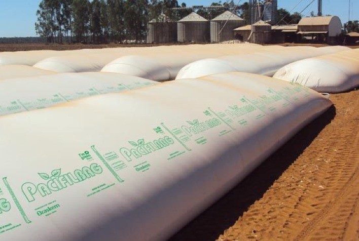 Mercado de silo bolsa cresce mais de 36% em 2020