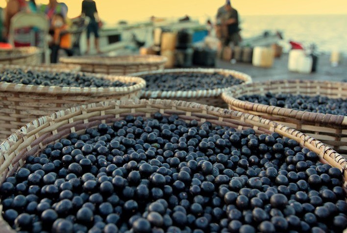 Conab identifica produtos com direito ao desconto nas parcelas do Pronaf em junho