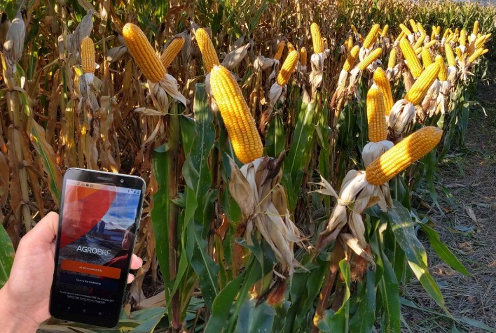 APP Digital Agro traz nova funcionalidade para a comercialização de grãos