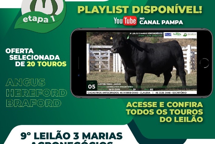 3 Marias Agronegócios ofertará reprodutores de ponta da raça Angus