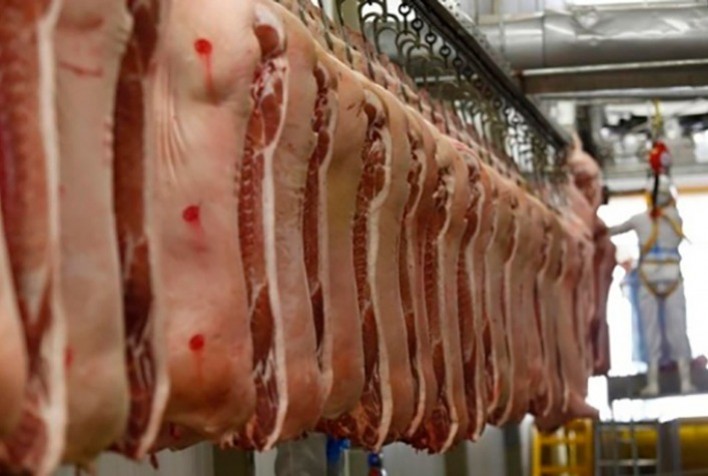 Exportações de carne suína totalizaram 102 mil ton em maio
