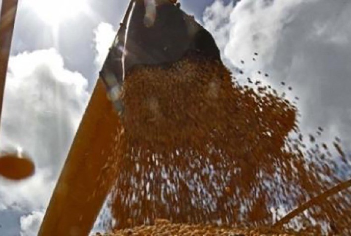 Soja: Mercado em Chicago opera no vermelho nesta 6ª feira, mas mantém foco no clima do Corn Belt