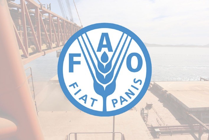 FAO: Custos globais de importação de alimentos aumentam 12% este ano