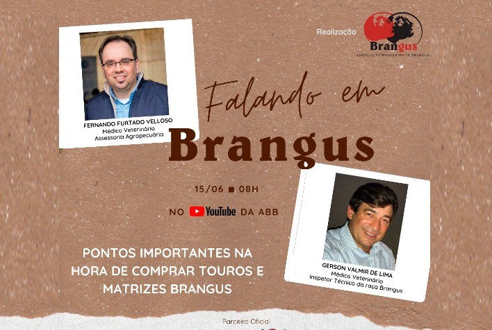 Quarta edição do Falando em Brangus abordará os cuidados ao comprar touros e matrizes Brangus