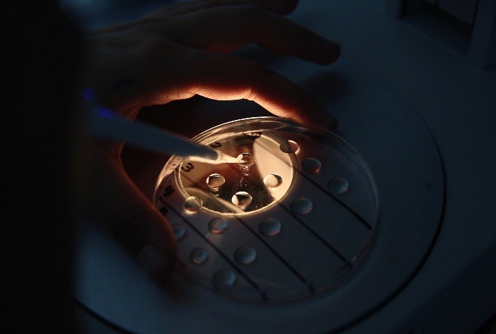 Projeto aumenta acesso de pequenos produtores à tecnologia de embriões