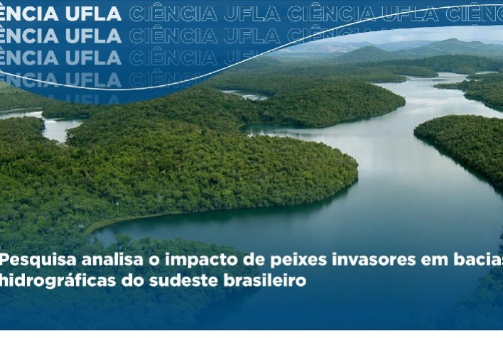 Pesquisa analisa o impacto de peixes invasores em bacias hidrográficas do sudeste brasileiro