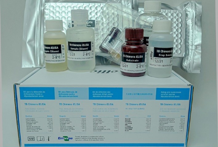 Novo kit acelera o diagnóstico da tuberculose bovina