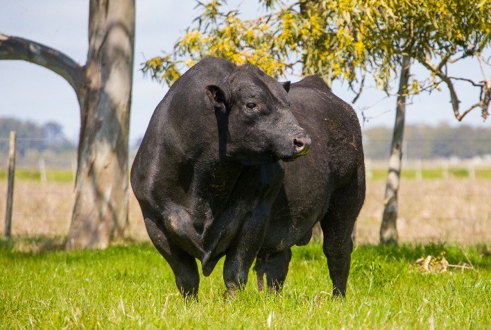 Uso de DEPs deslancha e garante lucro na prática
