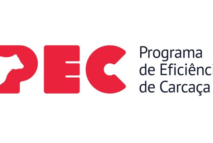 Programa de Eficiência de Carcaça (PEC) ajuda pecuaristas a melhorar indicadores de produtividade em suas fazendas