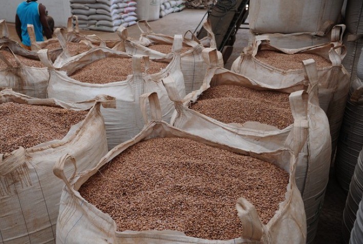 Ibrafe: Começa a colheita do feijão no Vale do Araguaia
