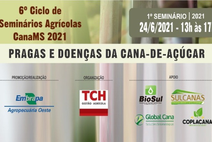 Inovações no manejo de pragas e doenças contribuem com a qualidade da safra