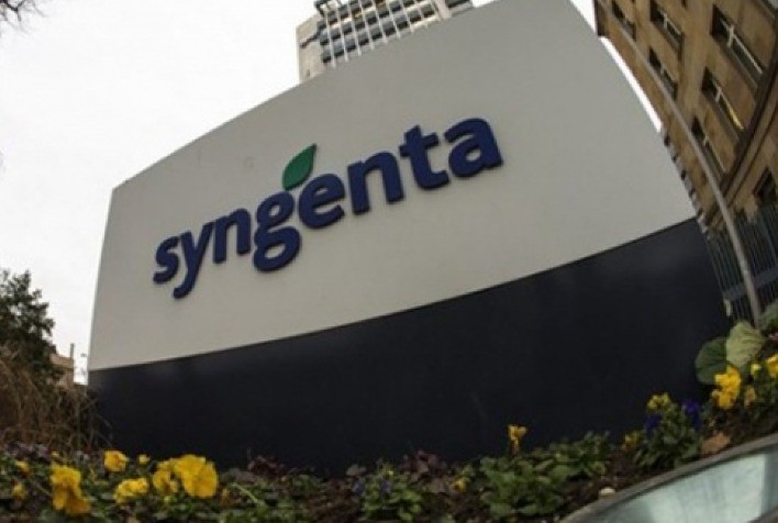 Syngenta Seeds anuncia dez novas cultivares para Brasil e Paraguai durante Encontro Anual de Multiplicadores