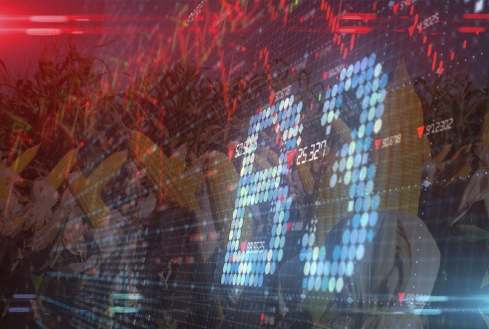 Futuros do milho estendem quedas na B3 no início desta 3ªfeira