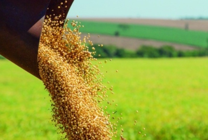 Soja opera com estabilidade em Chicago nesta 4ª, previsões mostram chuvas melhores nos EUA