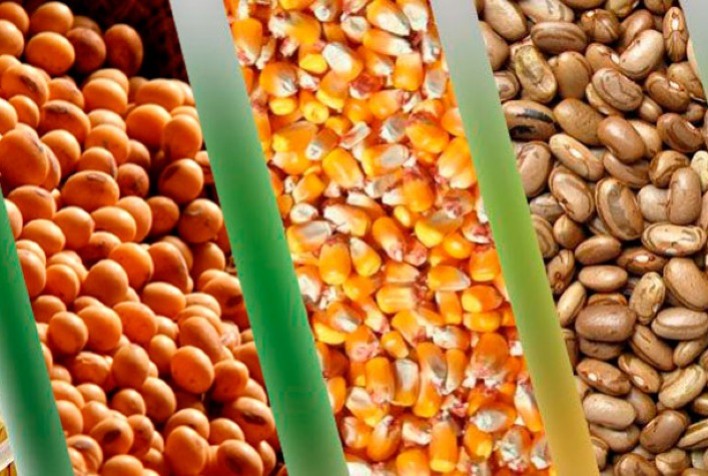 MINAS GERAIS – Conab disponibiliza análises mensais de conjuntura de produtos agrícolas